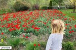 Grosse und kleine Gründe Bürchen zu entdecken, erleben und geniessen