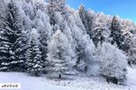 Ferien in Bürchen